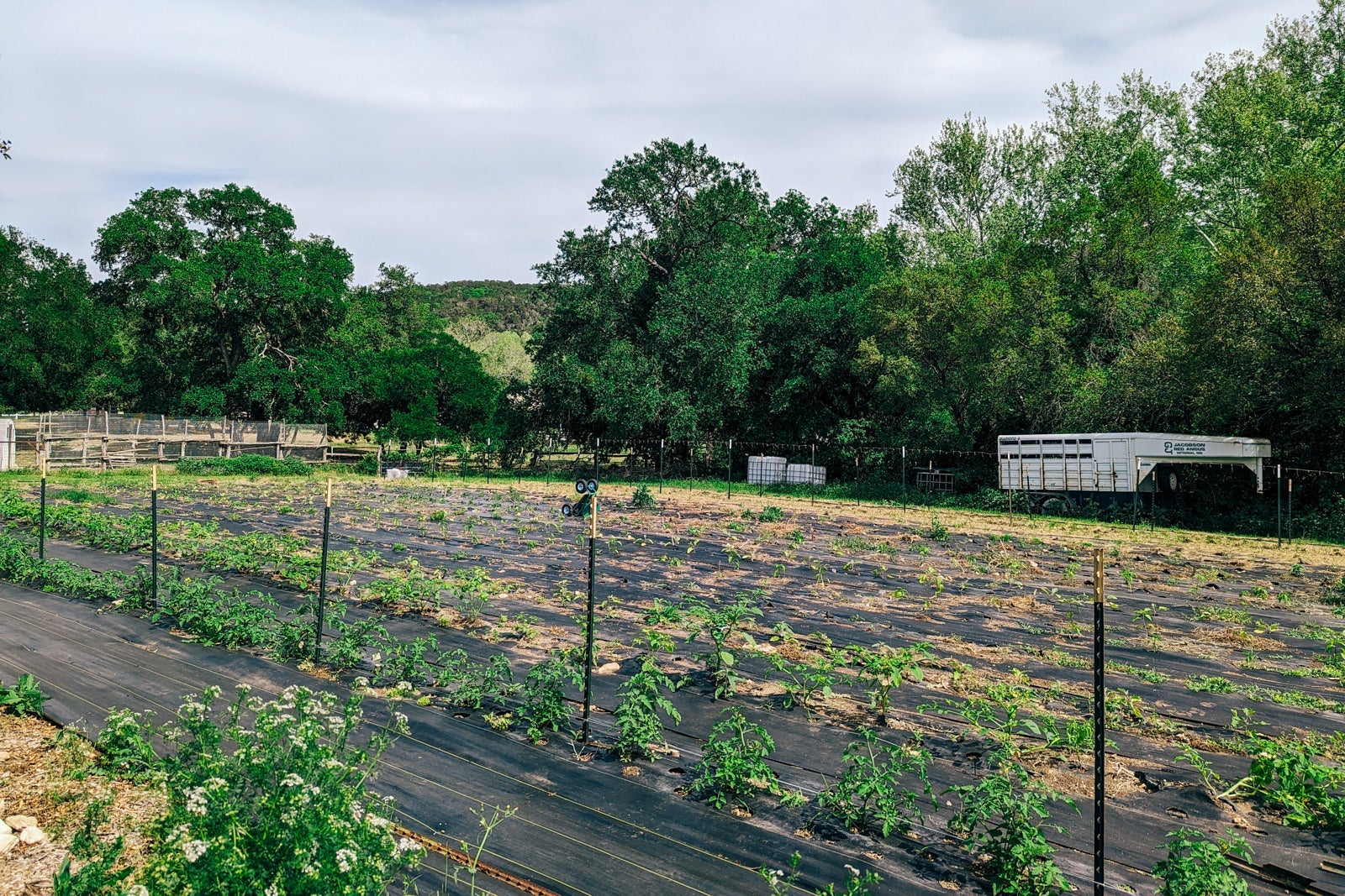 Miraval Austin farm