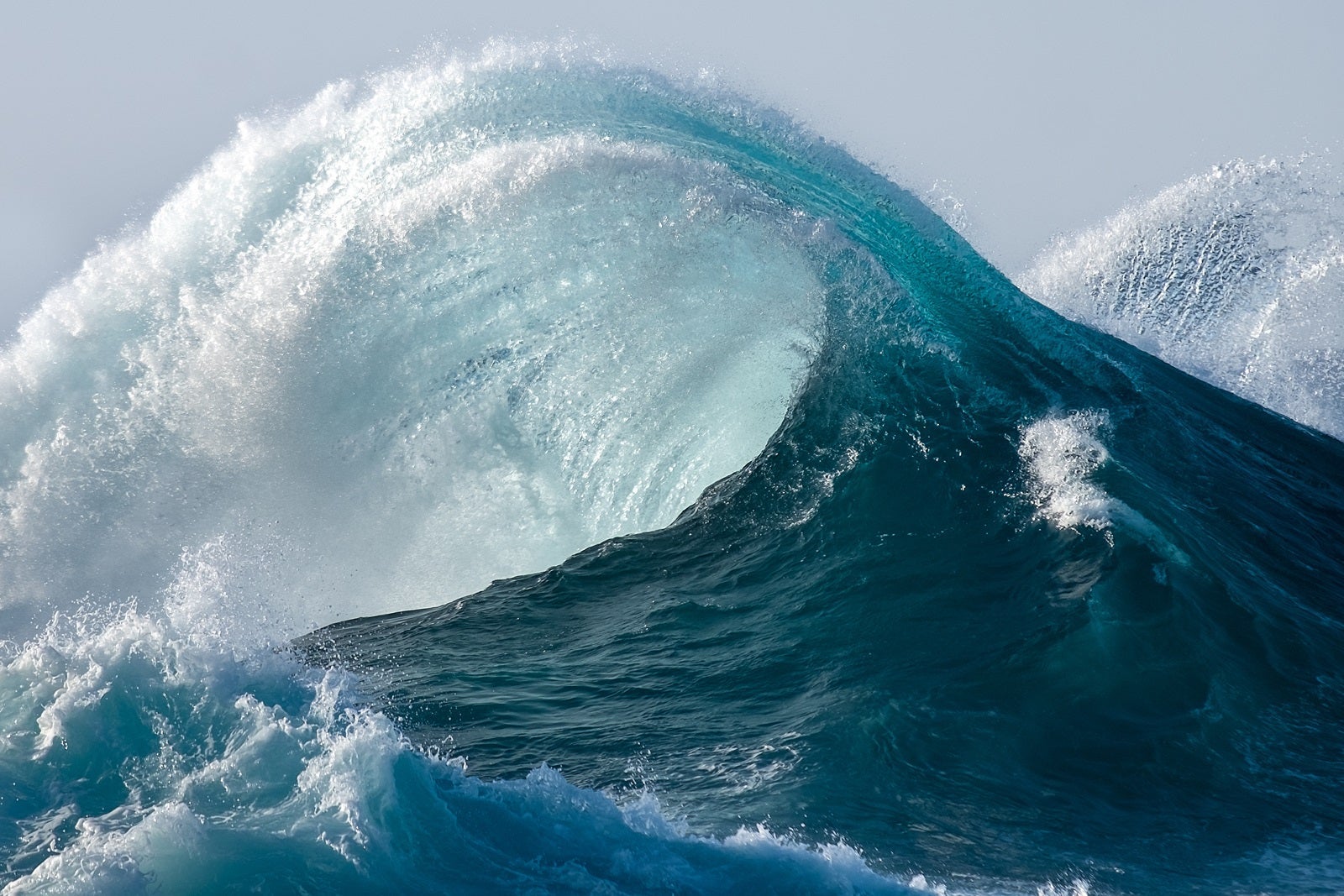 A large blue wave curling onto itself with white foam