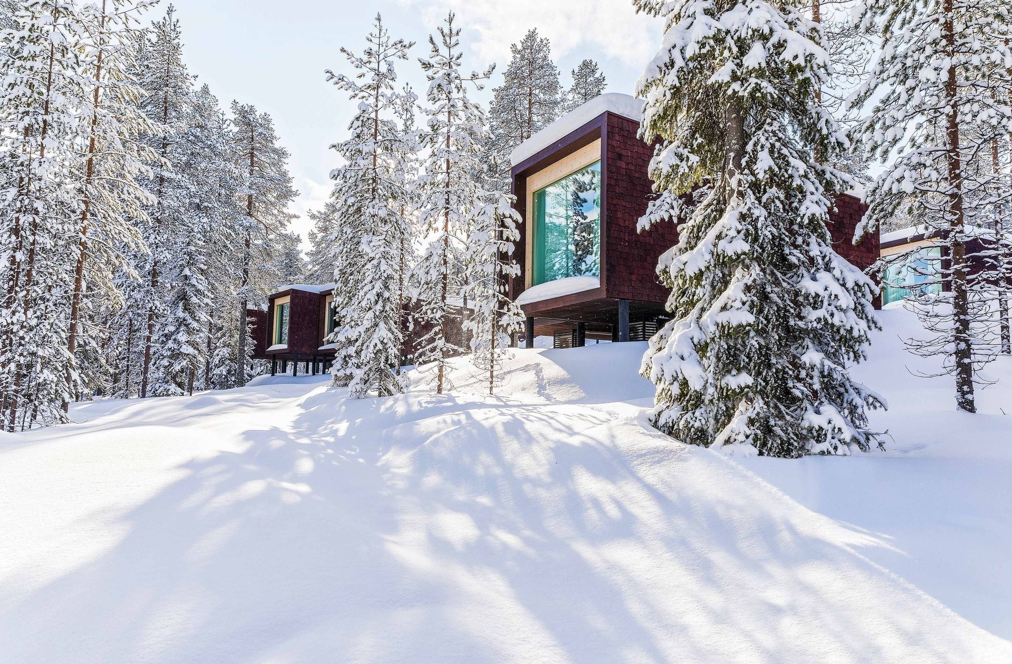 Arctic Treehouse Hotel in Rovaniemi, Finland