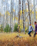 Young Couple Hiking in Aspen Trees in Colorado
