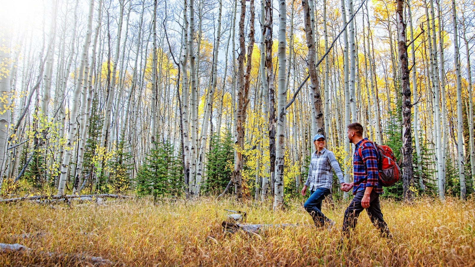 Young Couple Hiking in Aspen Trees in Colorado