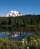 Mount Rainier becomes fourth national park to scrap reservation system ahead of peak season