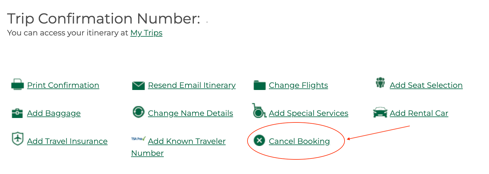 Cancel frontier flight online