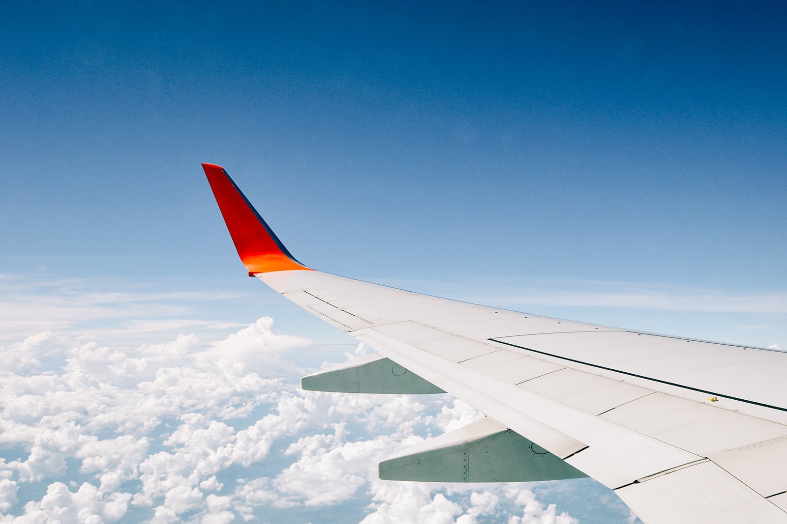 plane wing