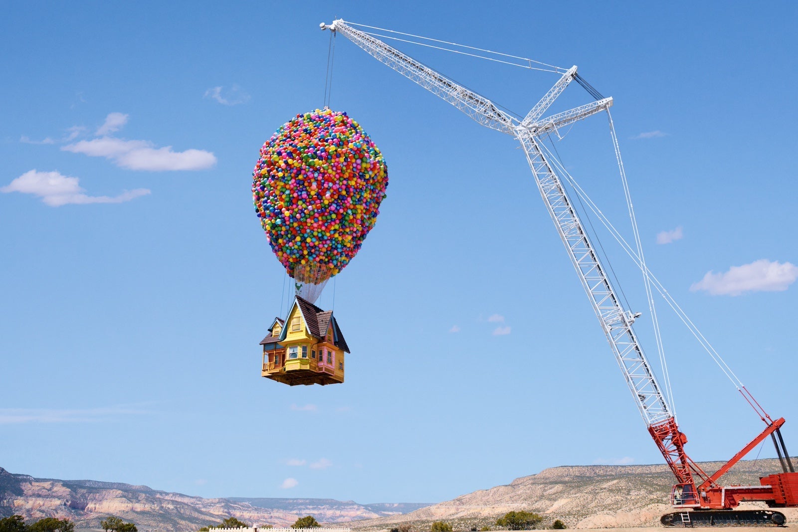 The Up House
