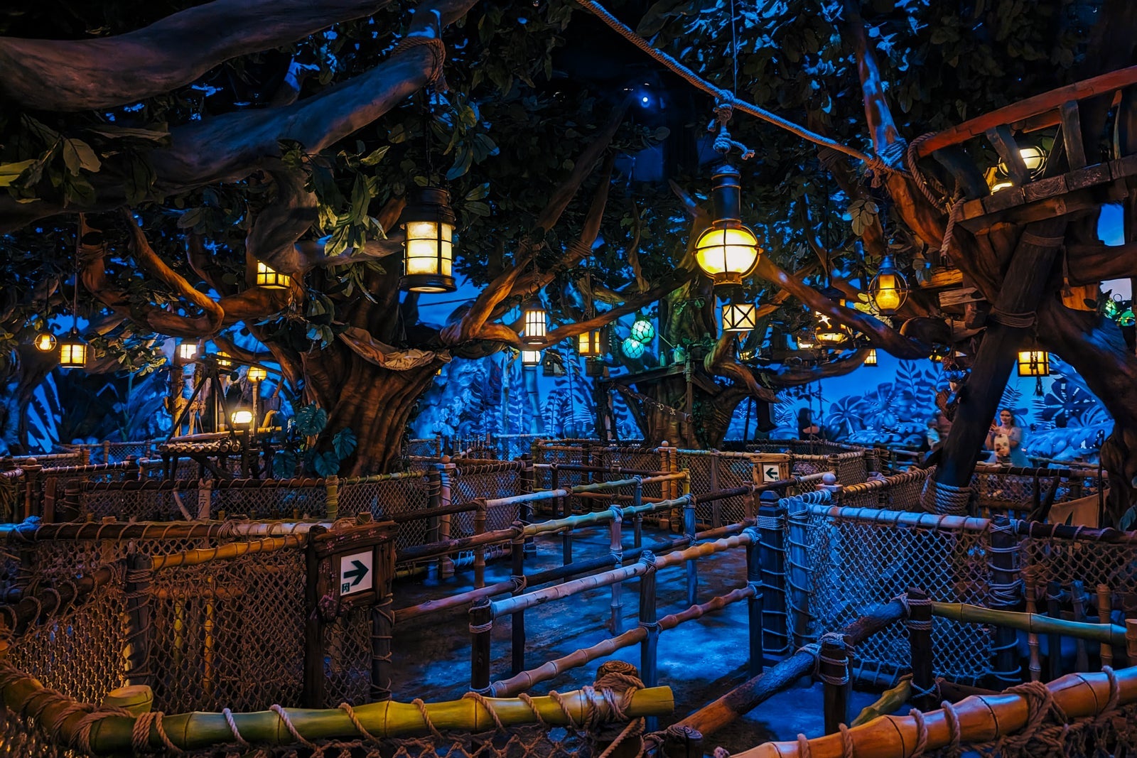 Tokyo DisneySea Fantasy Springs Peter Pan queue