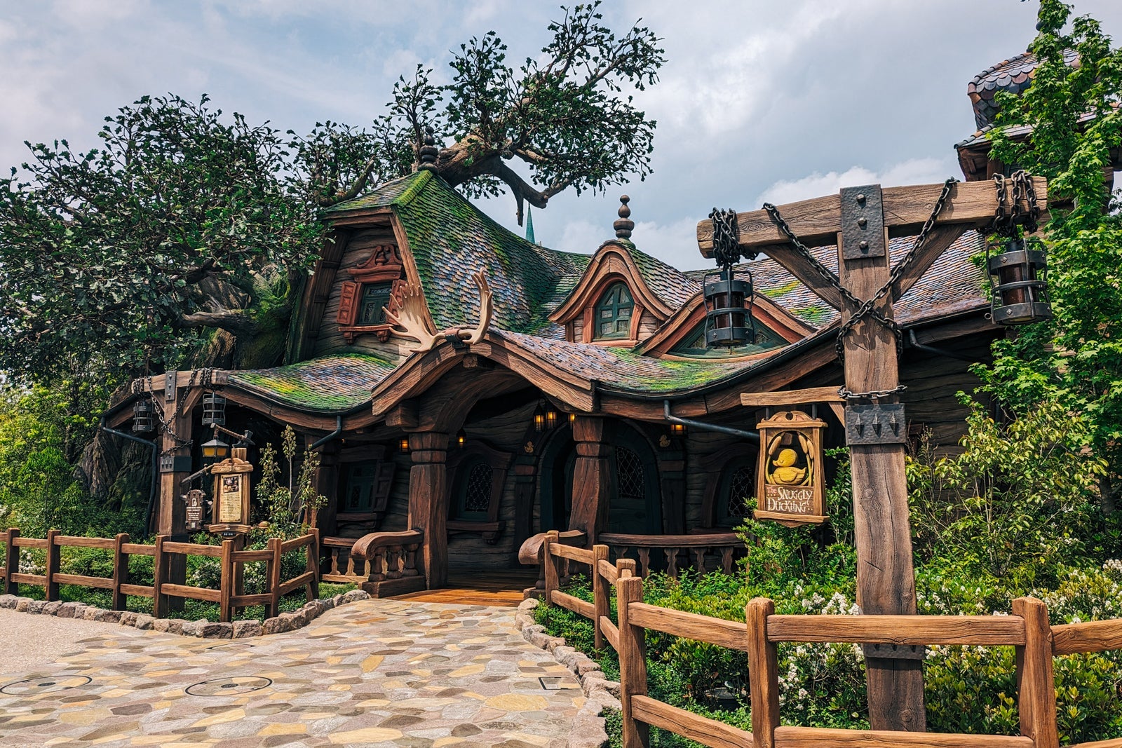 The Snuggly Duckling