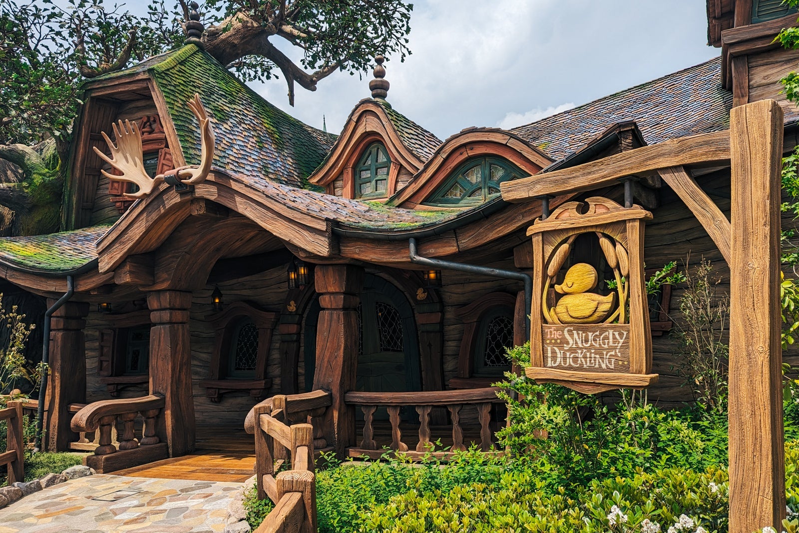 The Snuggly Duckling