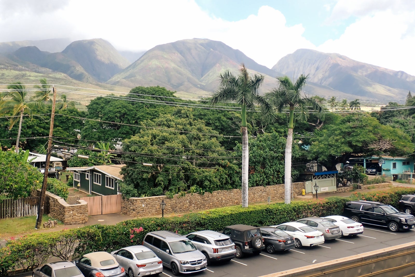 Balcony view of palm trees and mountains