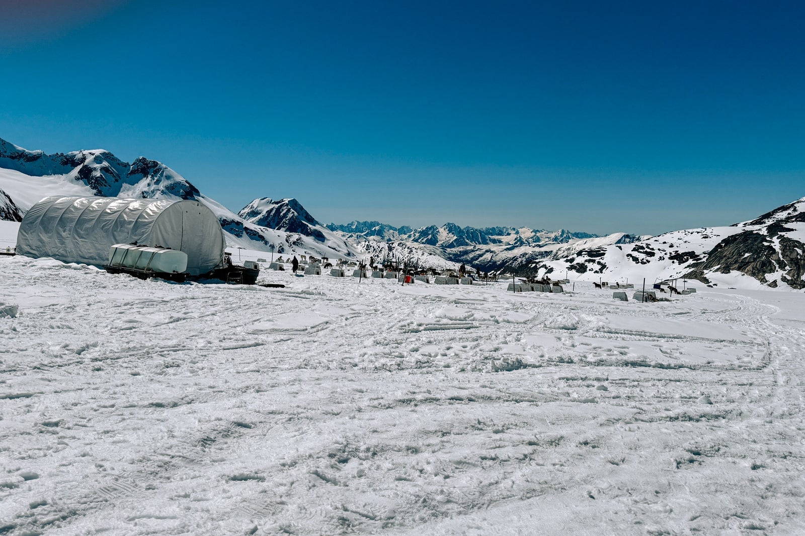 dog sled and helicopter tour in Alaska