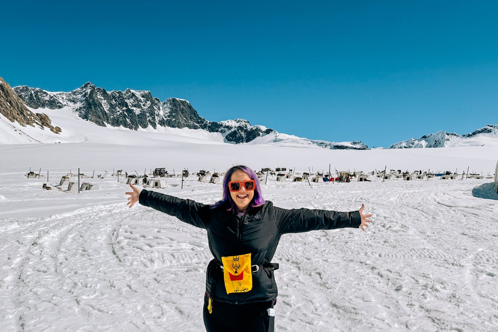 dog sled and helicopter tour in Alaska