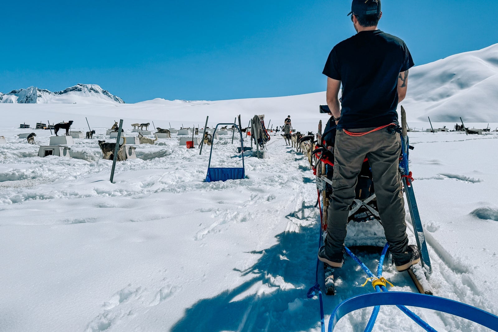 dog sled and helicopter tour in Alaska