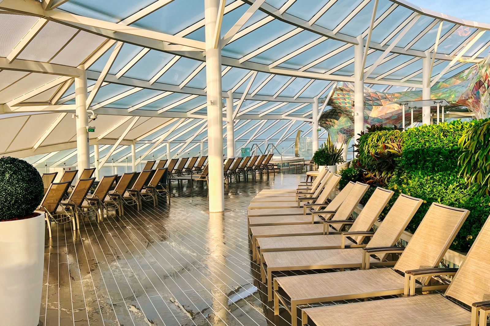 The Solarium on Symphony of the Seas