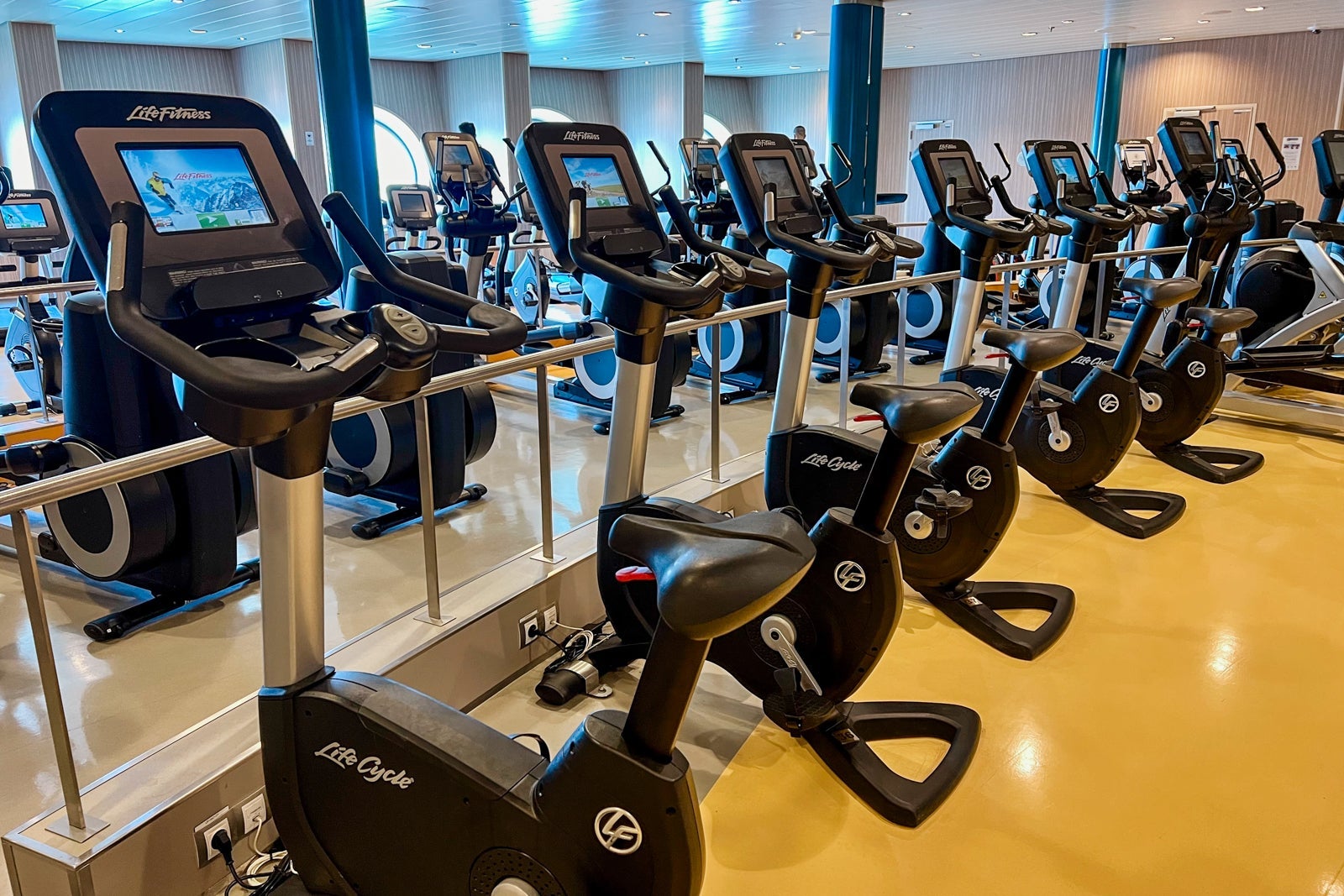 The Vitality Fitness Center