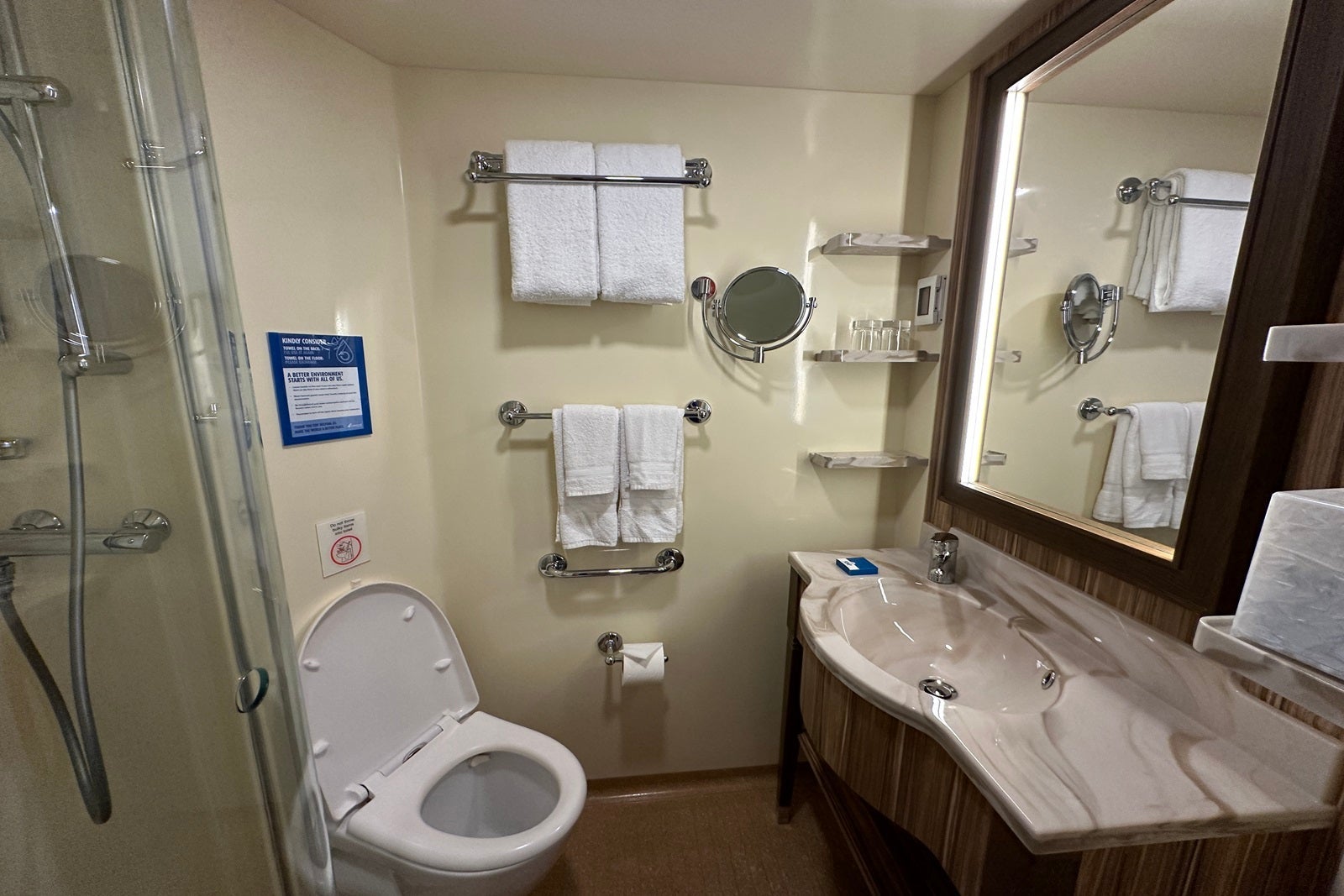 A cabin bathroom on the Carnival Firenze