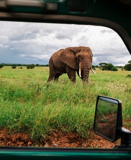Visiting Tanzania? You now need travel insurance