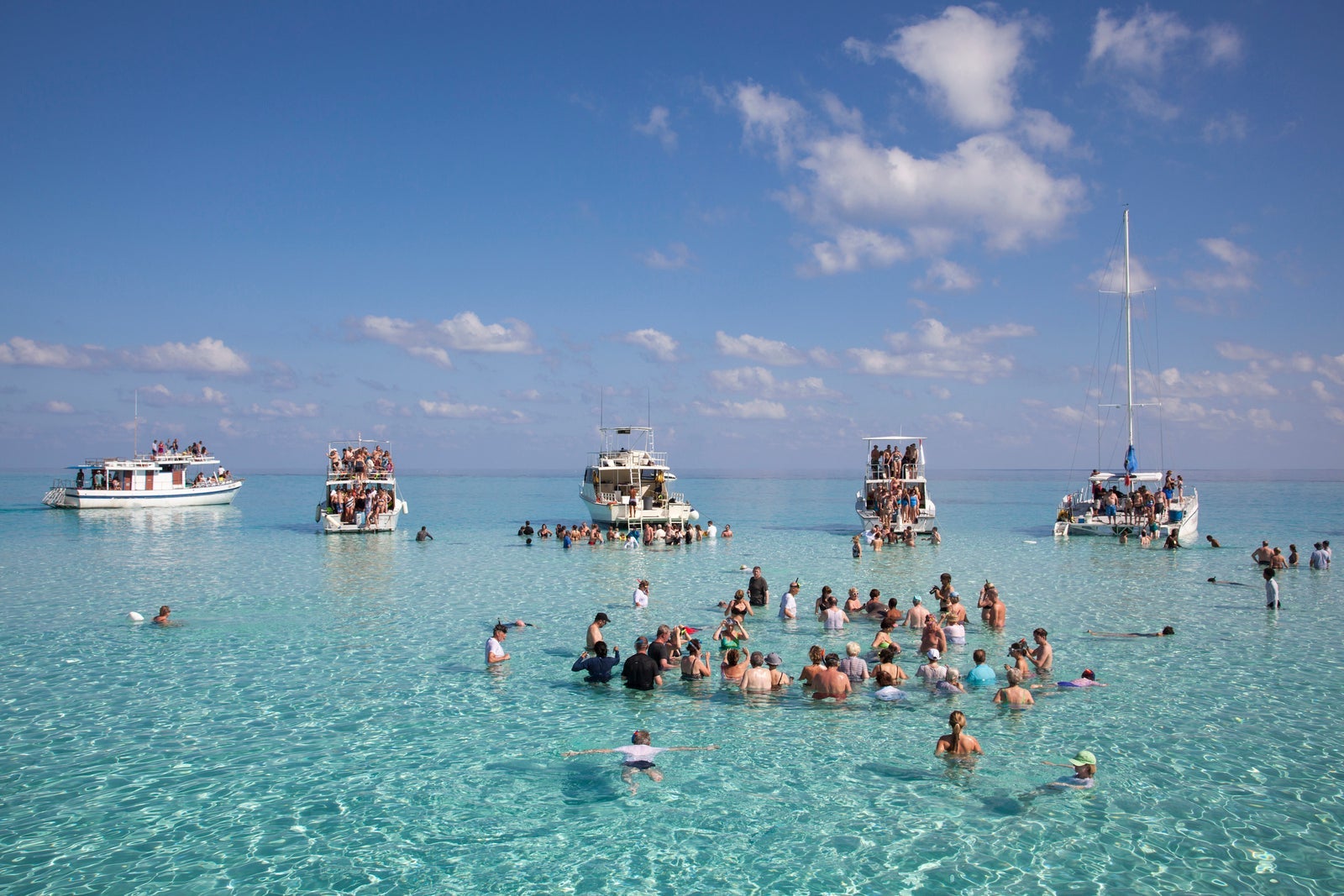 Snorkelers at stingray city in Grand Cayman