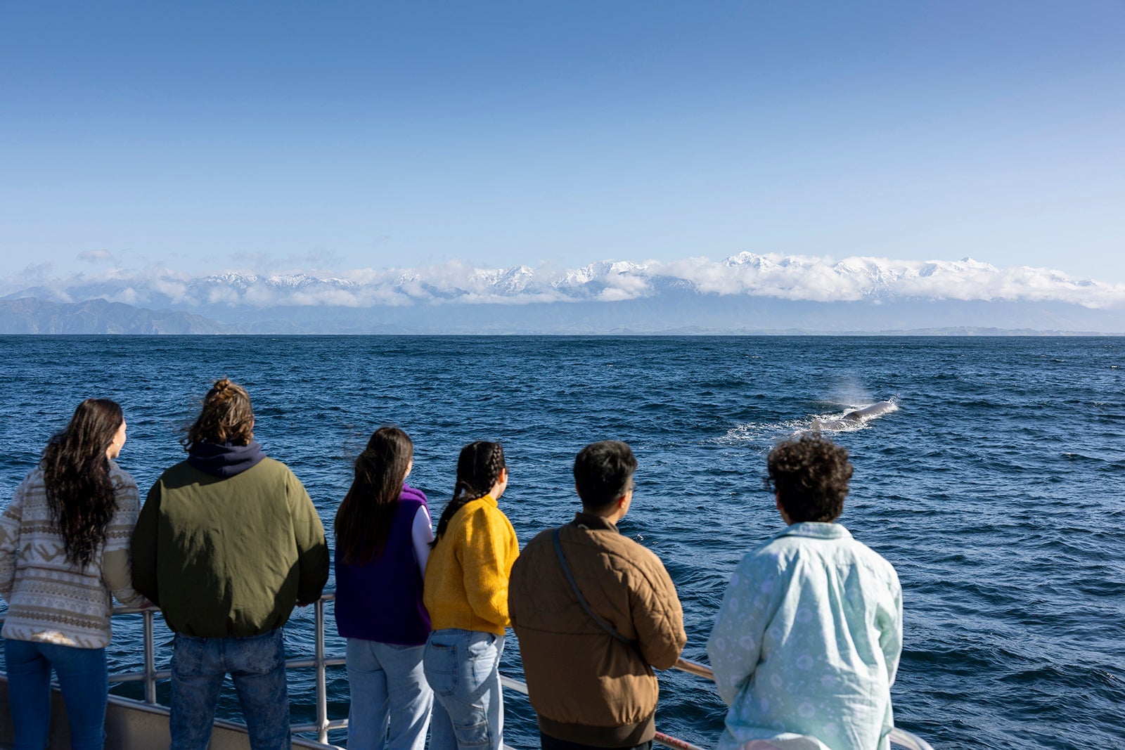 People watching a whale surface on a whale watching tour boat on Kaikōura Coast, New Zealand_Miles Holden_TOurism New Zealand