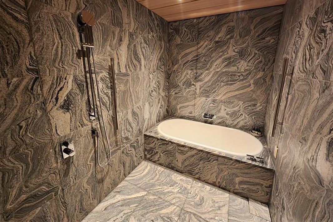 Park Hyatt Kyoto accessible shower and bath with grab bars
