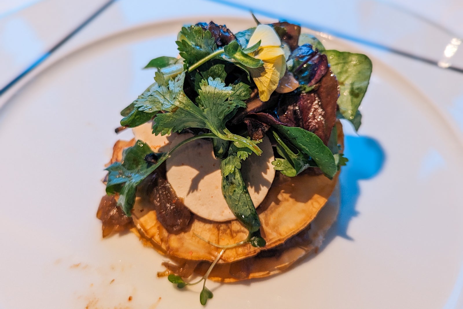 La Dame on Silver Ray.