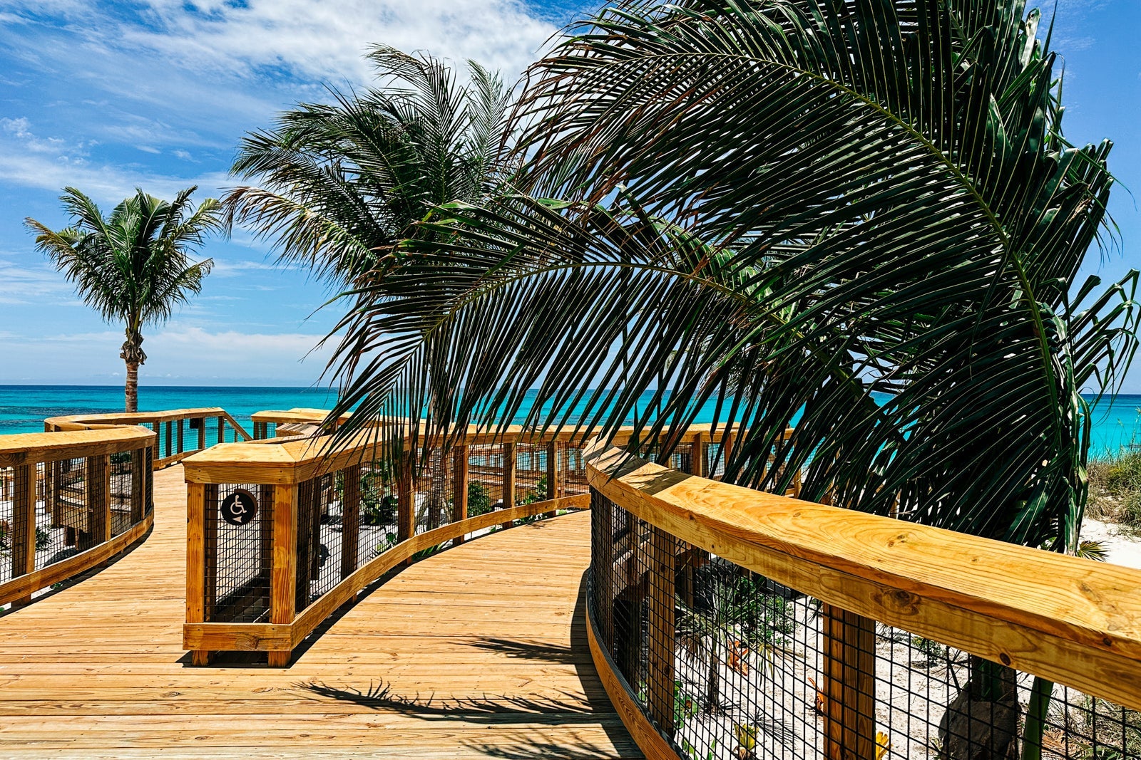 Part of a winding boardwalk overhung with palm tree branches