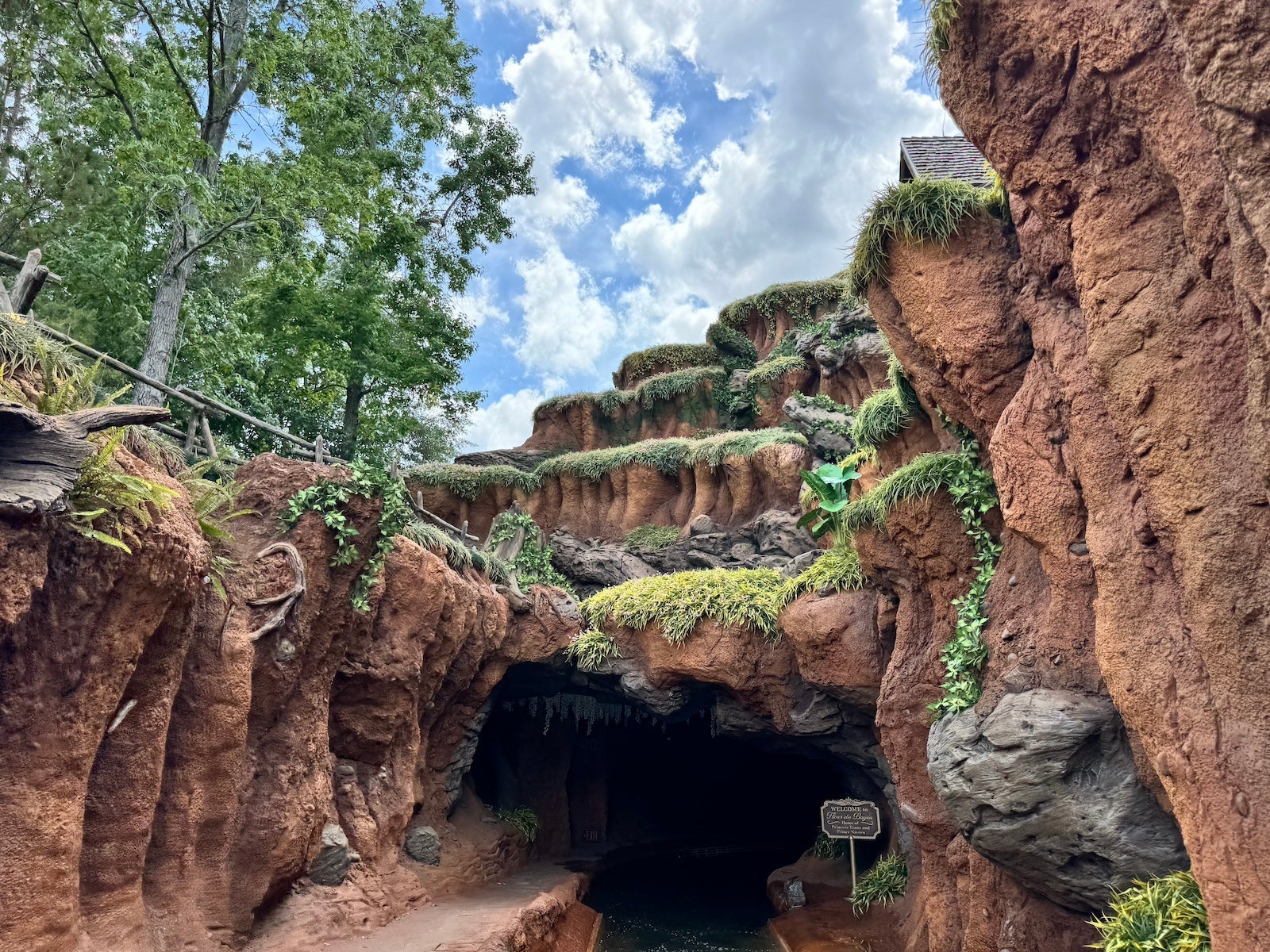 Tiana's Bayou Adventure cave