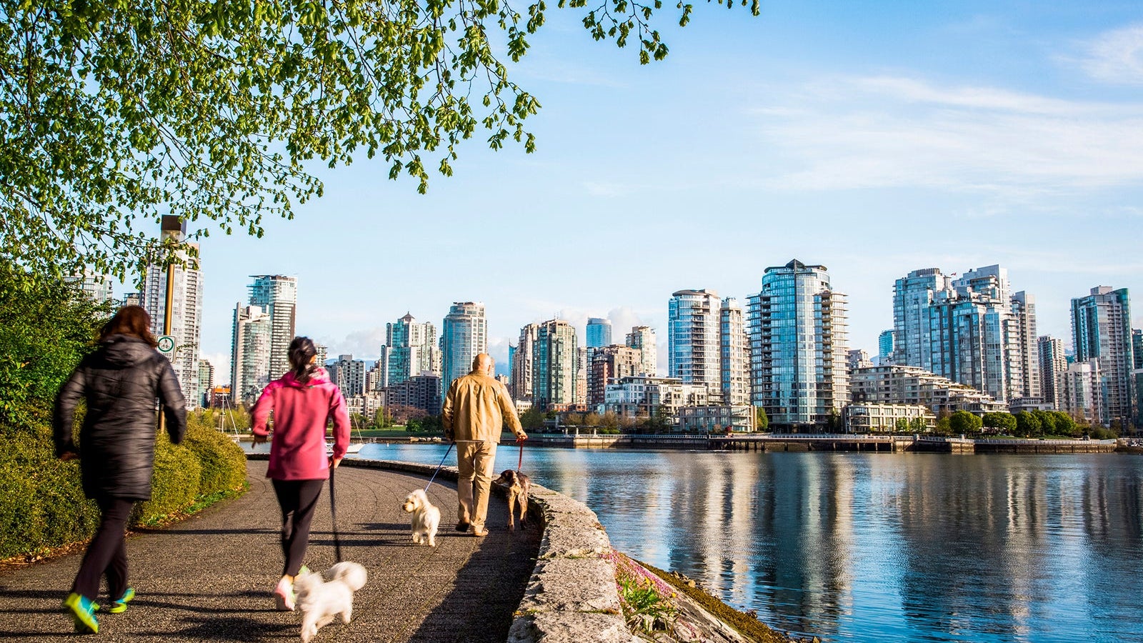 VANCOUVER, BRITISH COLUMBIA, CANADA. People walking dogs on a waterside trail with downtown skyline in the distance.