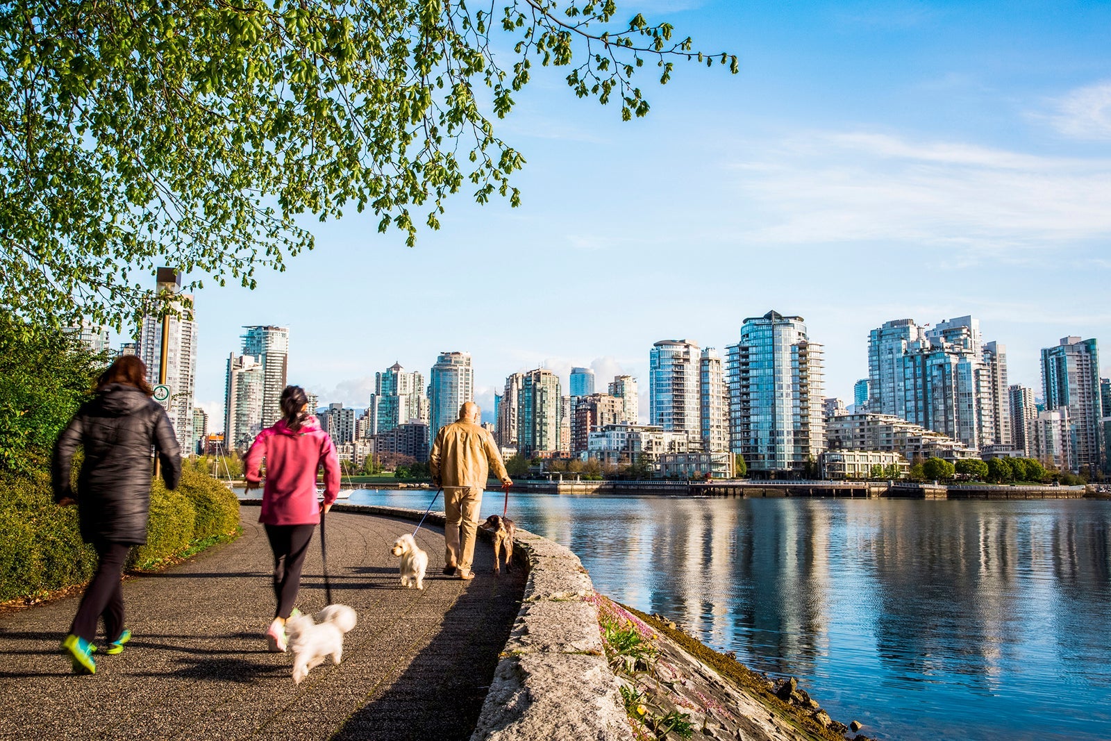 People running on a trail in Vancouver, Canada