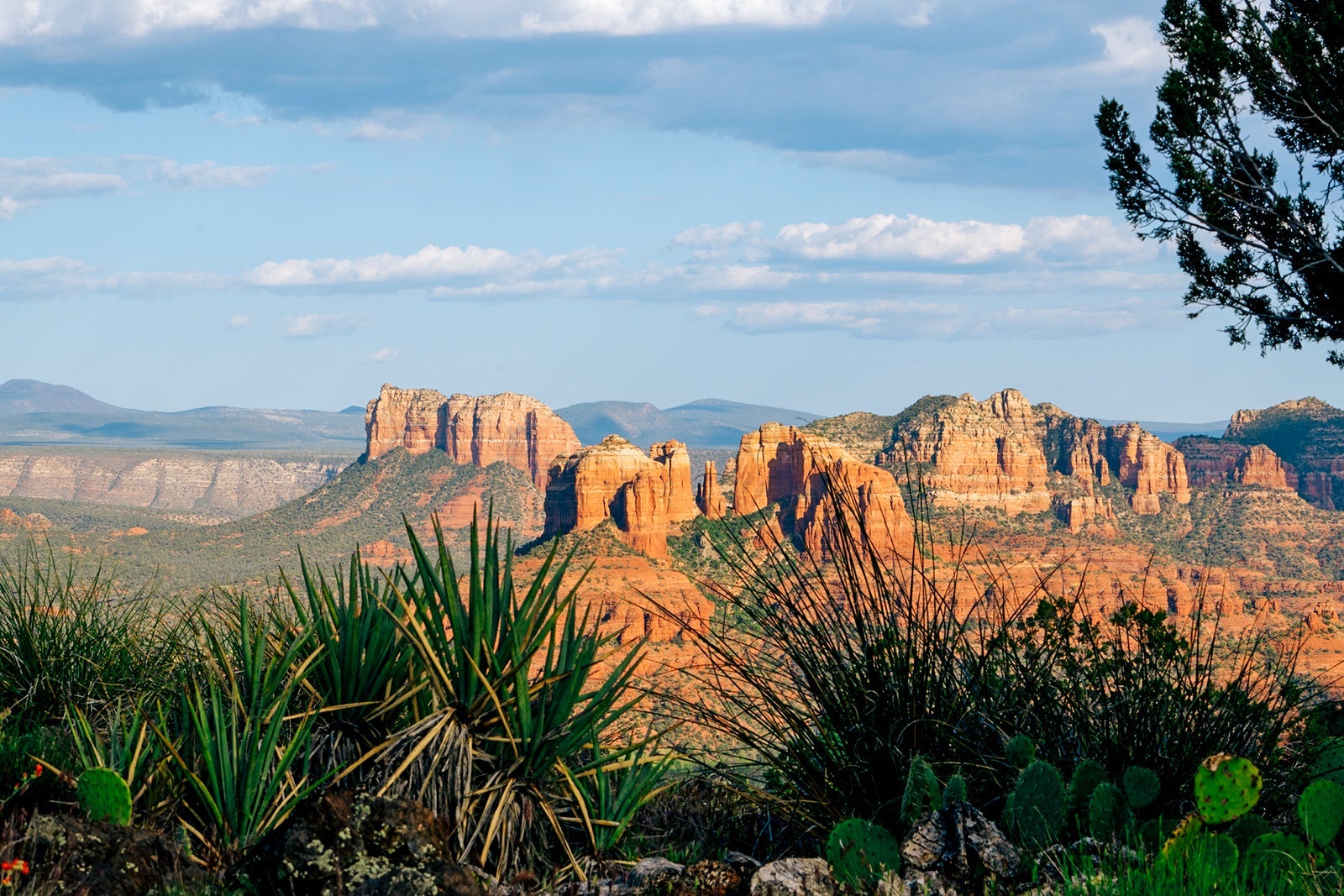 Redrock mountains in Sedona