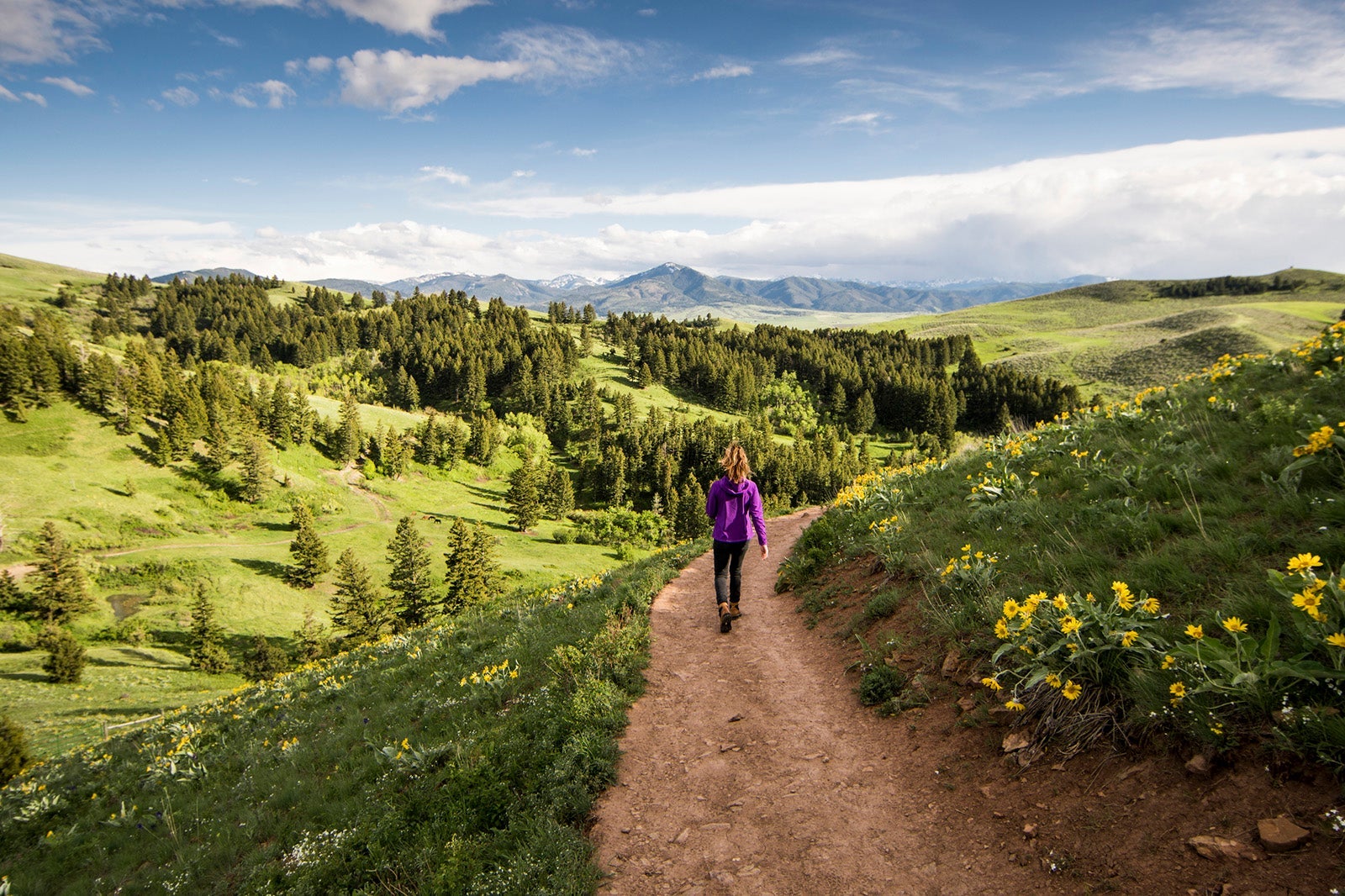 Hiking in mountains