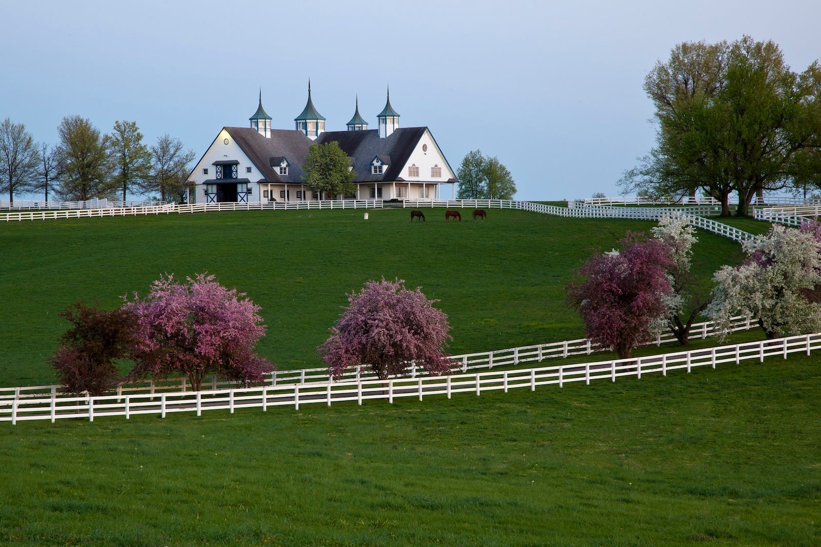 Lexington ranch
