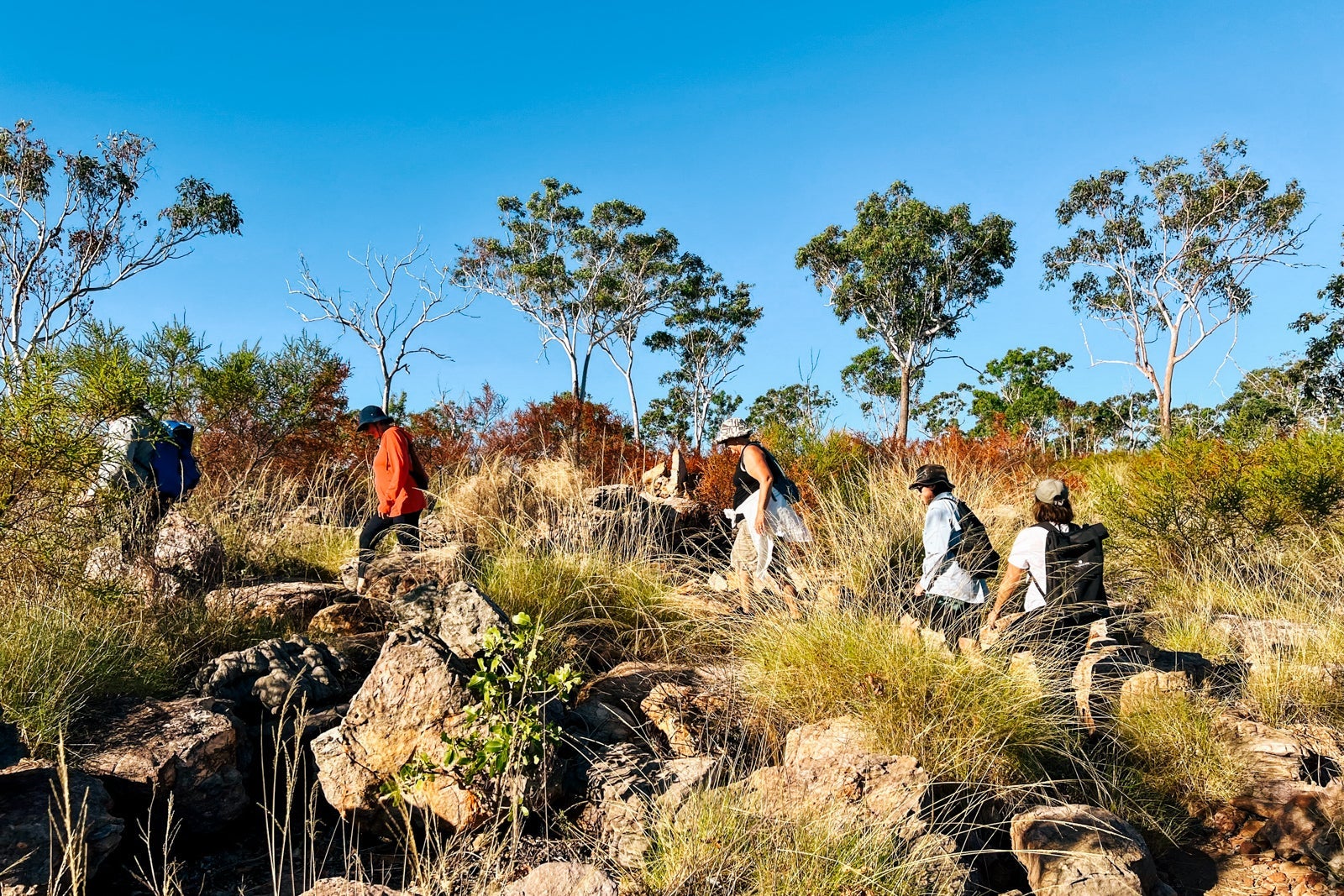 Seabourn Pursuit passenger hike into the shrubland at Freshwater Cove