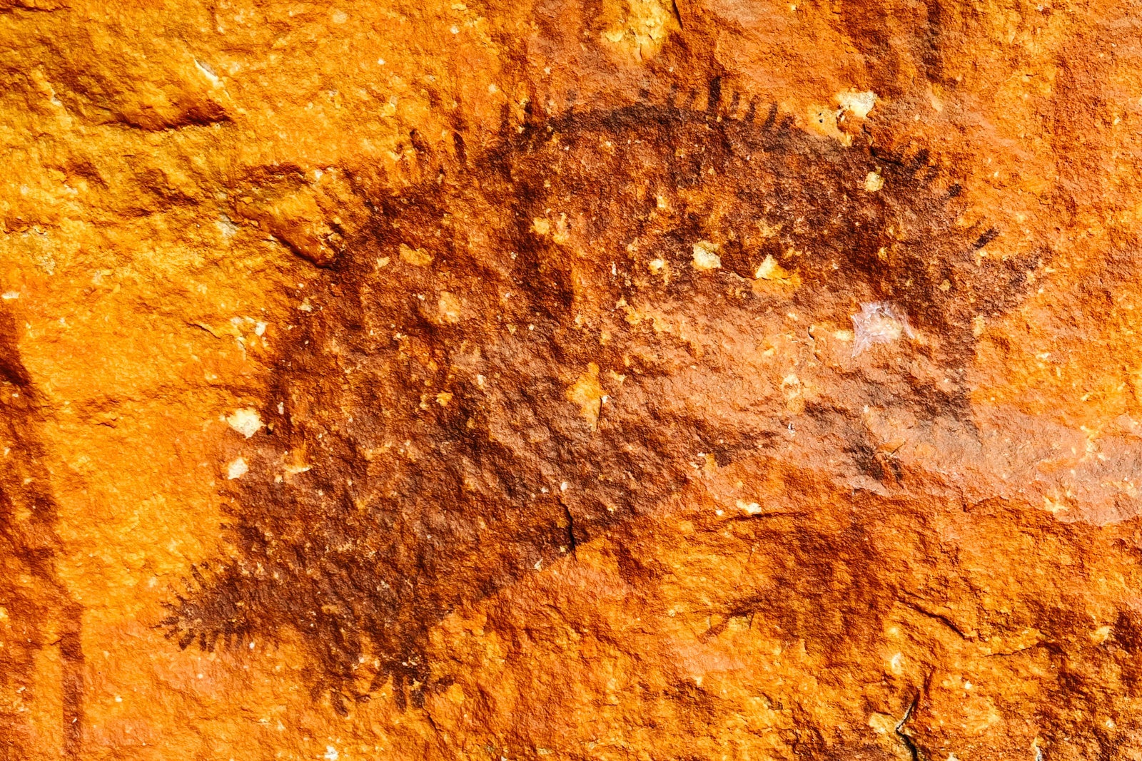 Gwion Gwion cave paintings at Ngula Island