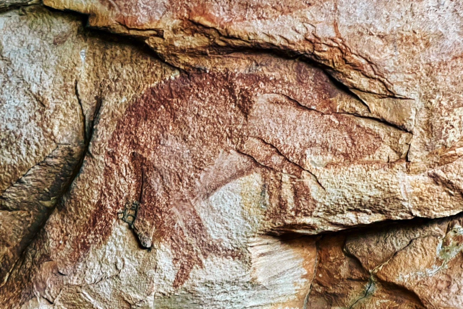 Gwion Gwion cave paintings at Ngula Island