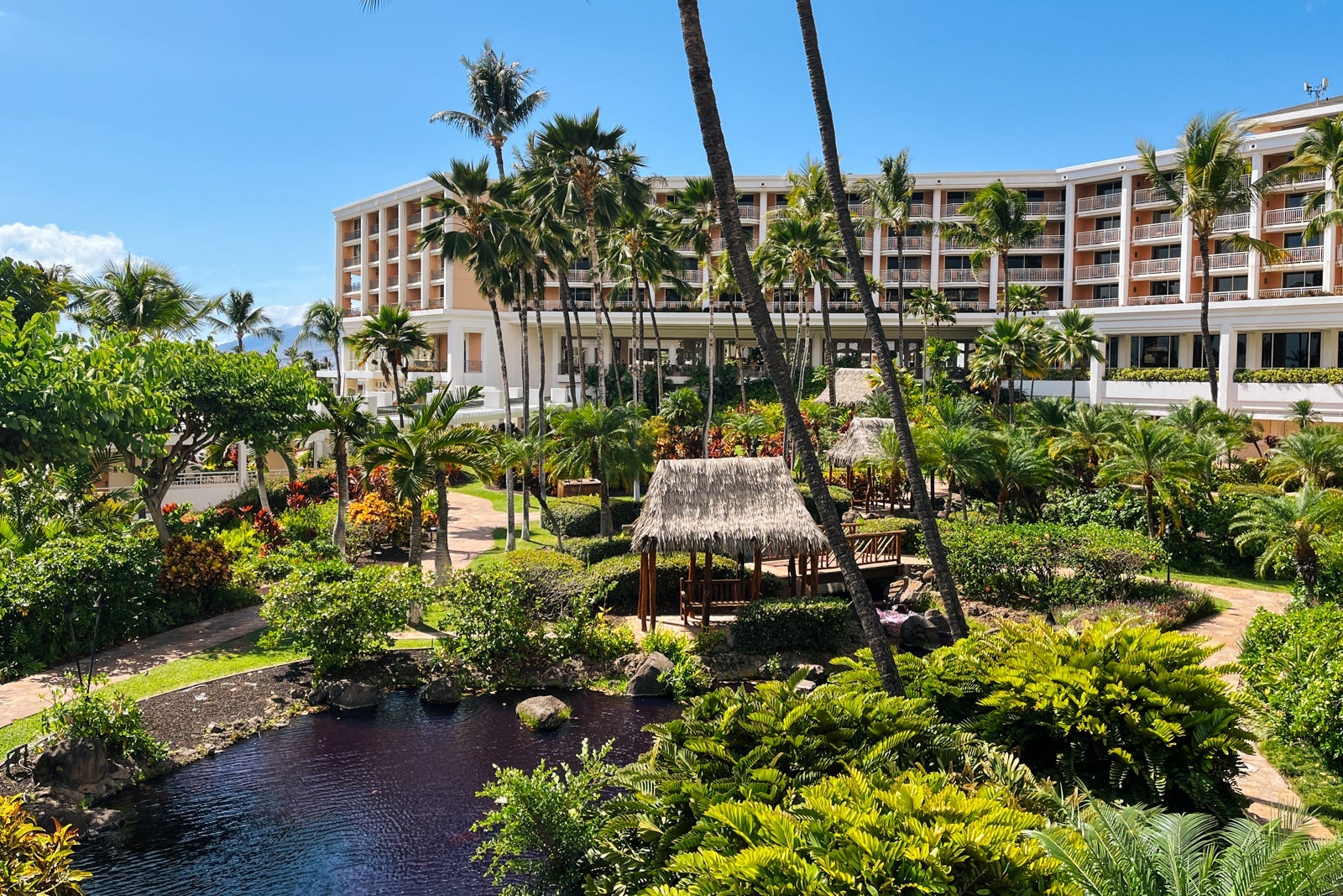 hilton hotel
