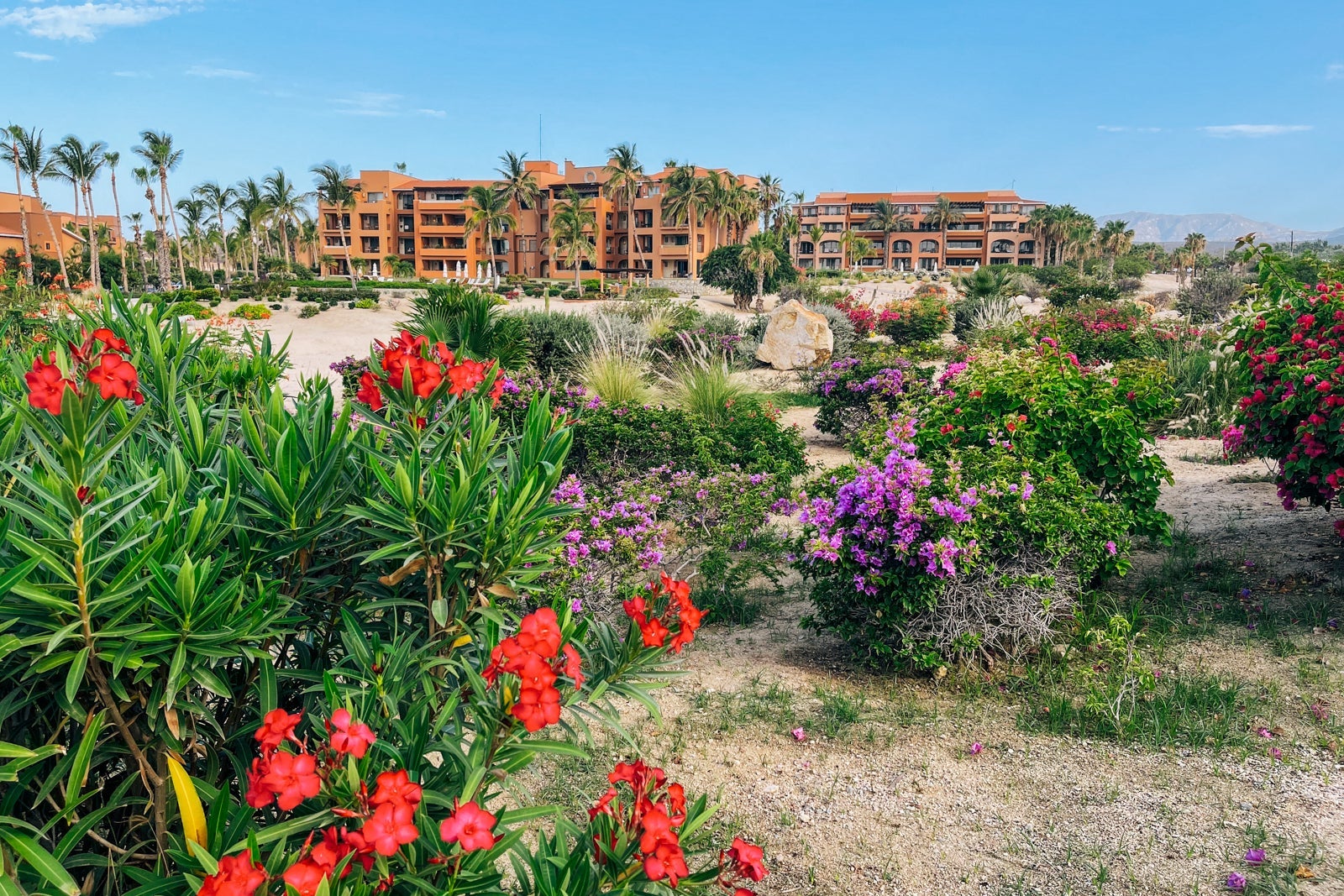 Buildings and garden at Zoetry Casa del Mar Los Cabos, Mexico