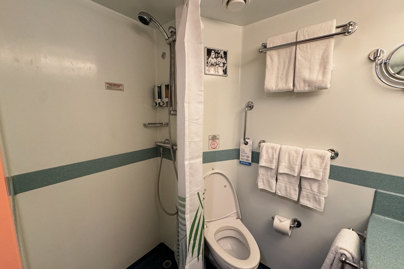 Carnival Freedom cabin