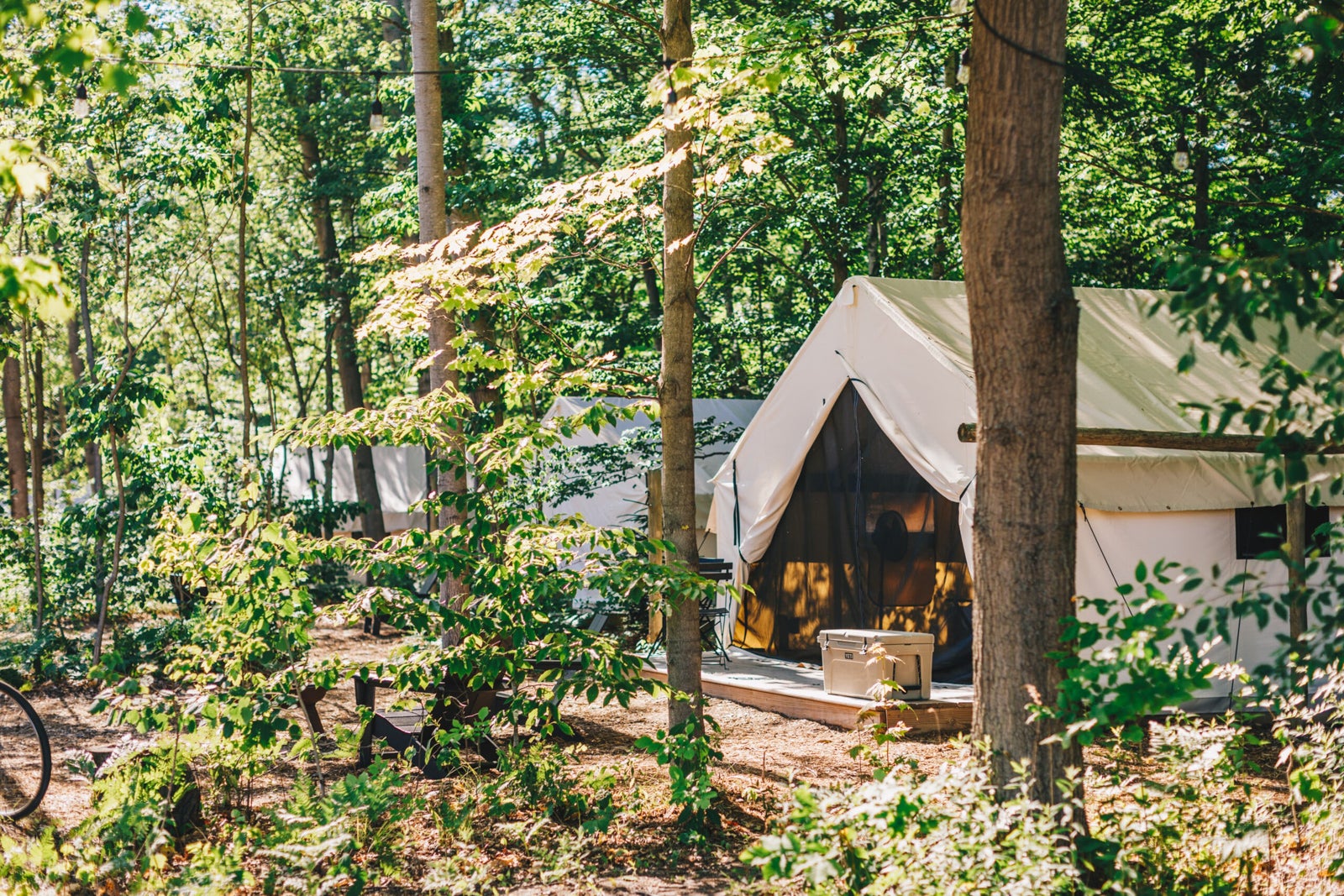 Labor Day Hotels Fields of Michigan by Under Canvas UNDER CANVAS