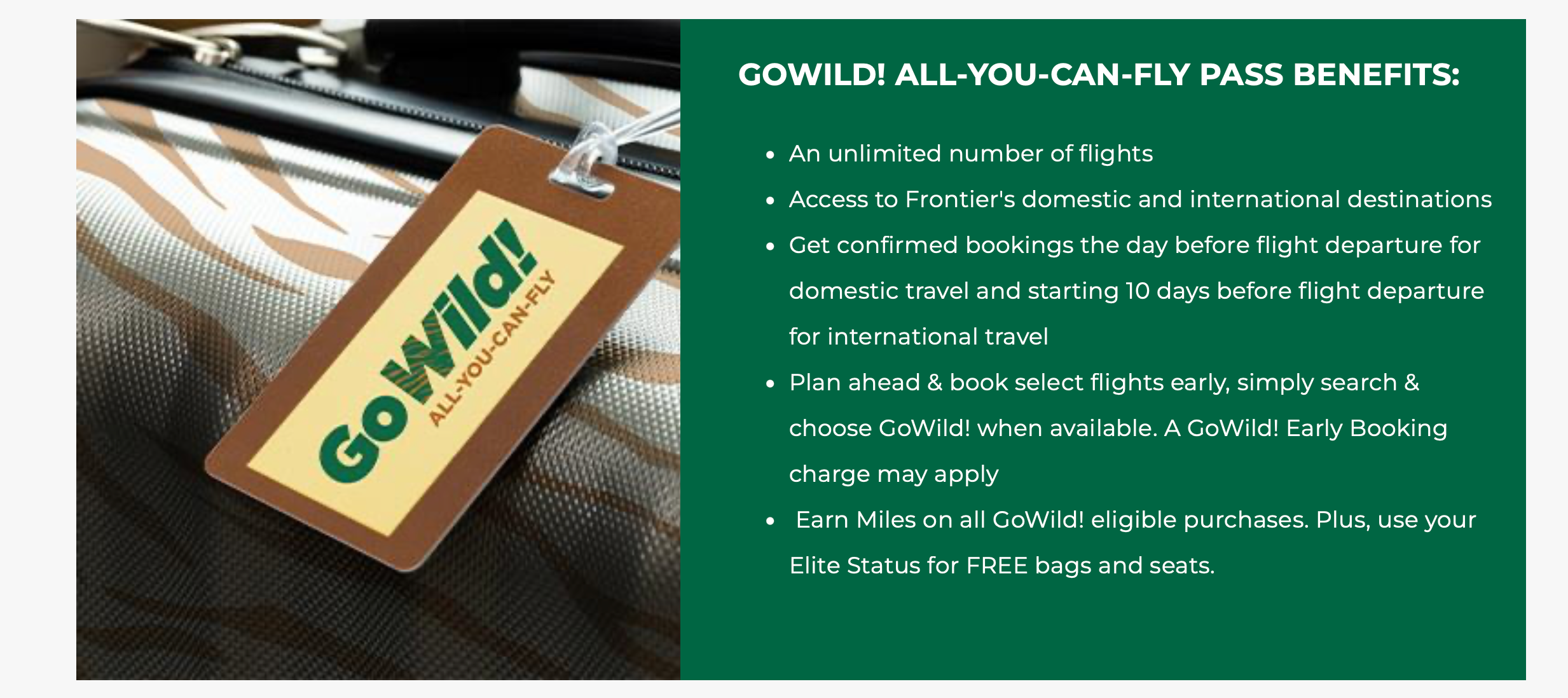 Frontier all-you-can-fly pass promo