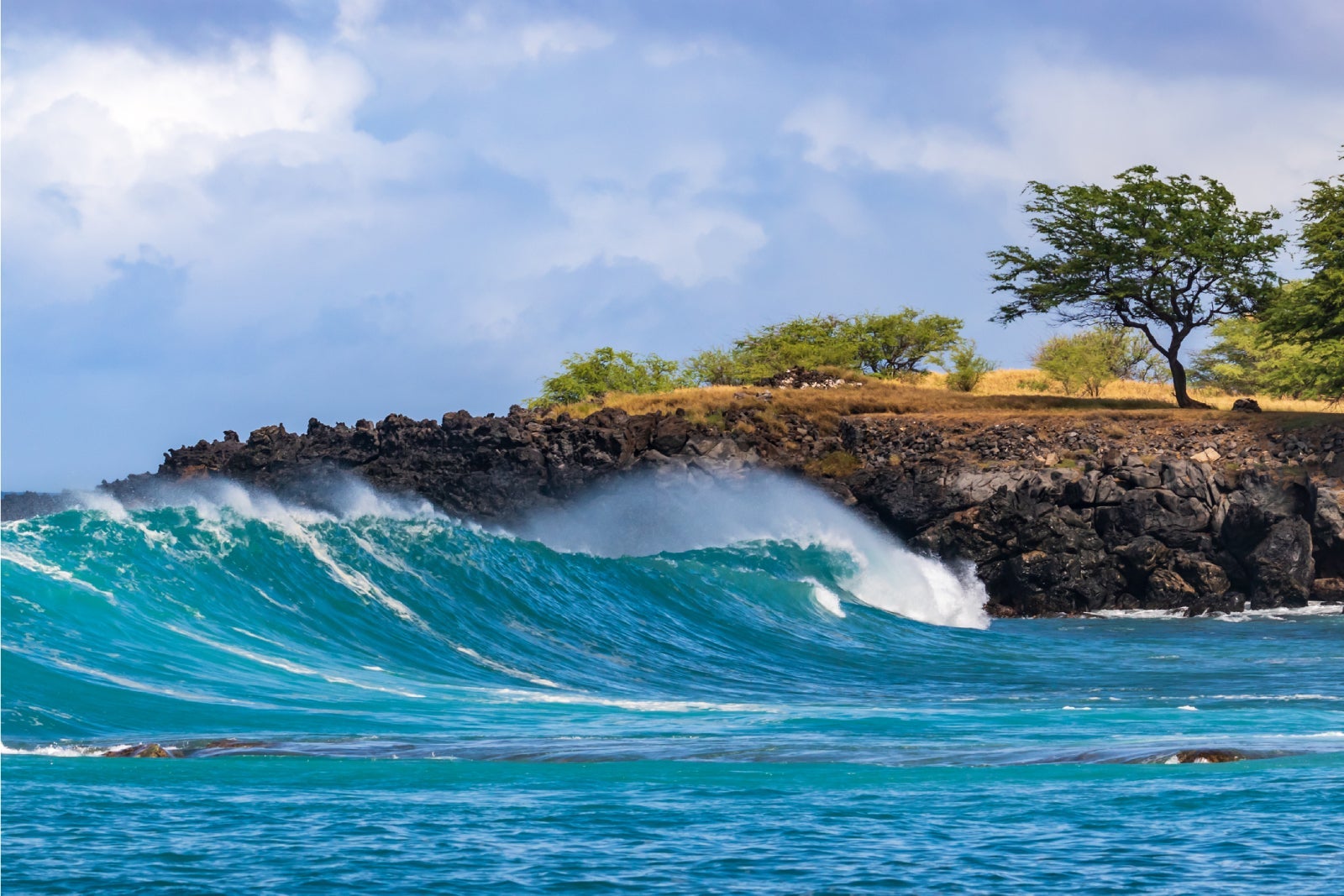 Wave breaking on Kona coast of Hawaii's Big Island