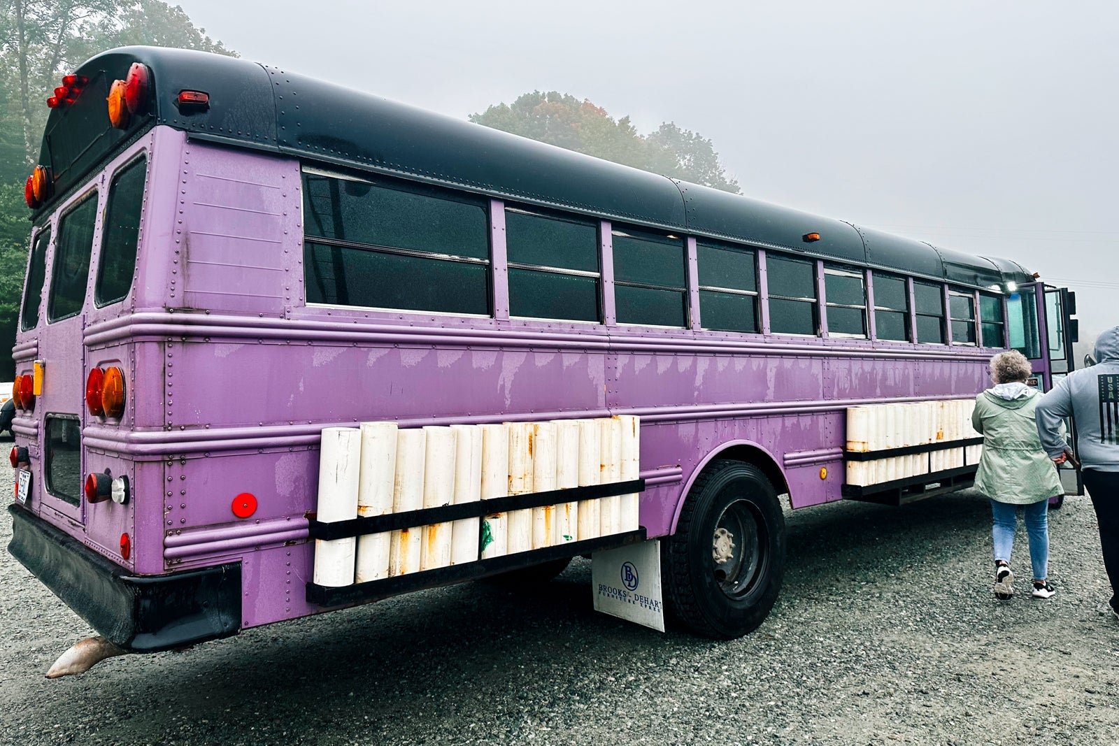Purple bus