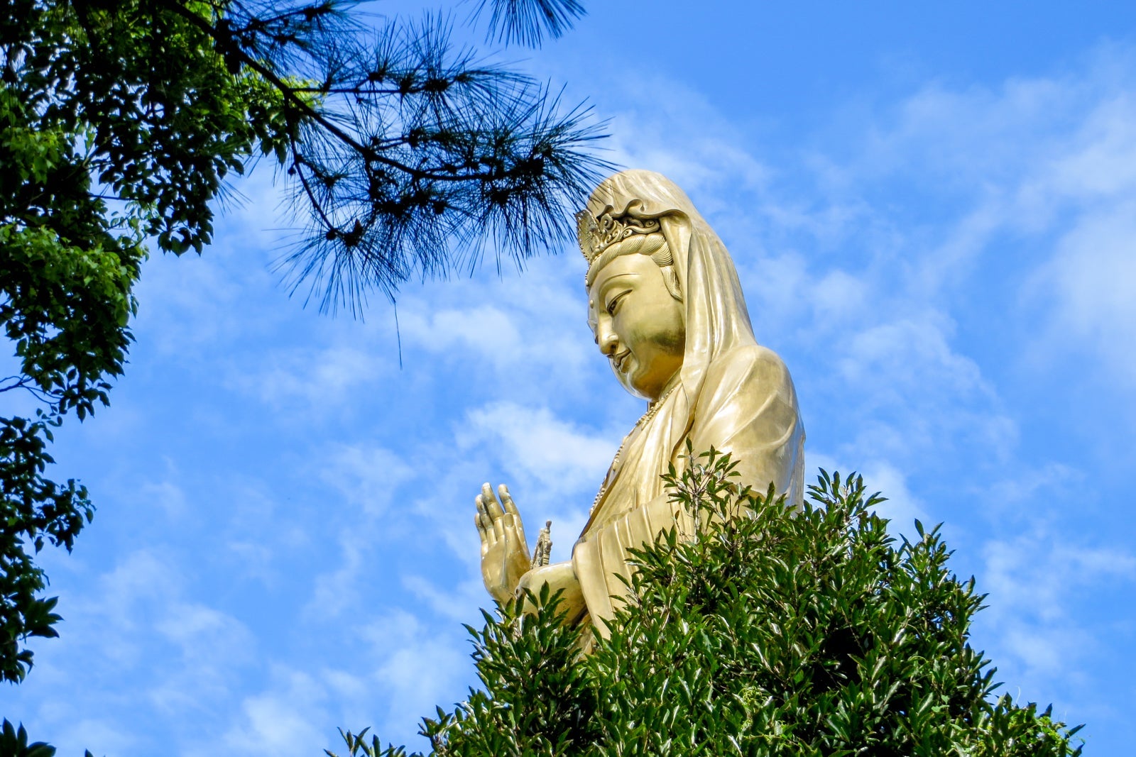 A giant Buddha rising up through the trees at a Buddhist temple in China