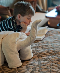 Cruise towel animals: Everything to know about this treasured terry cloth tradition