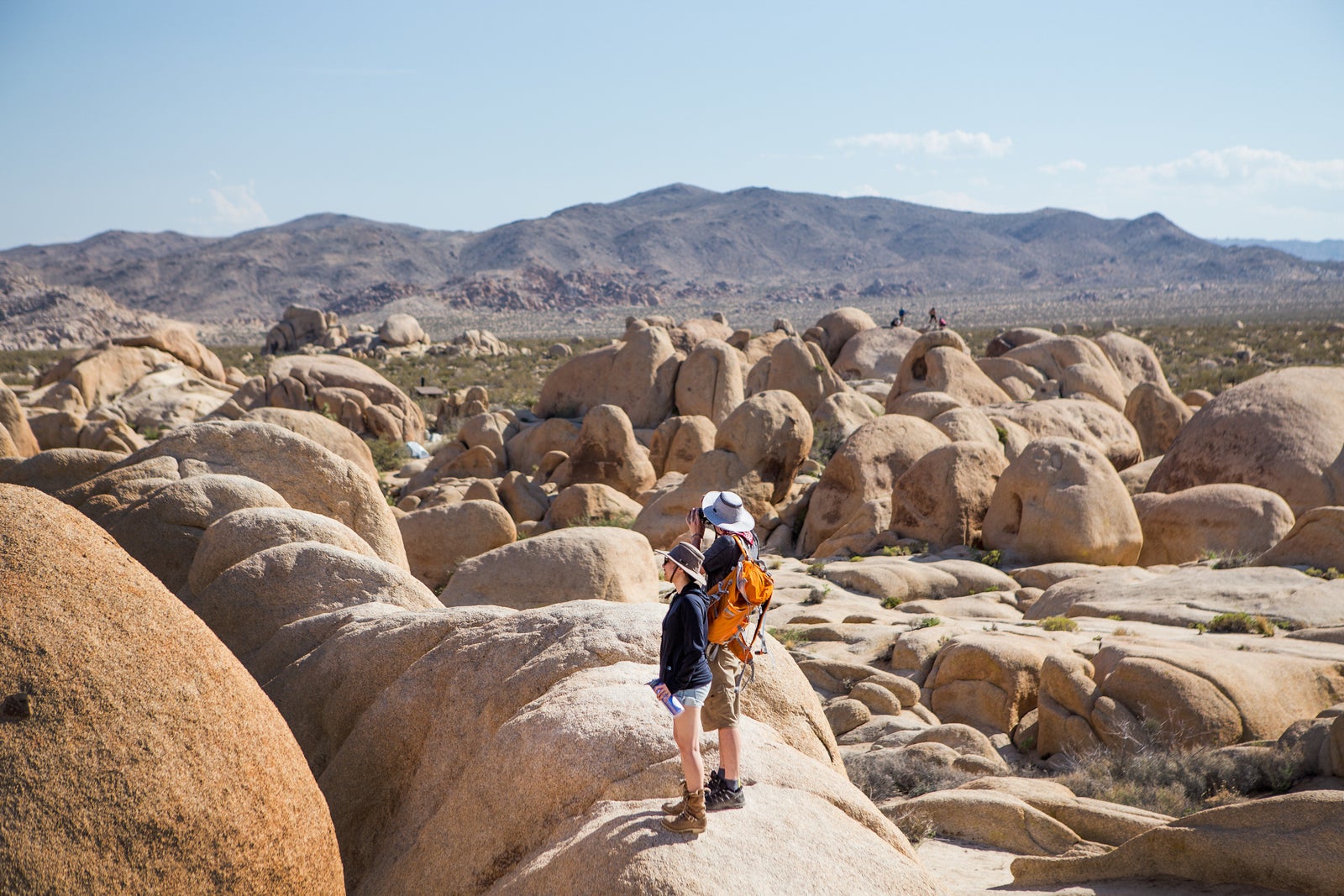 A day hiking in California's Joshua Tree National Park.