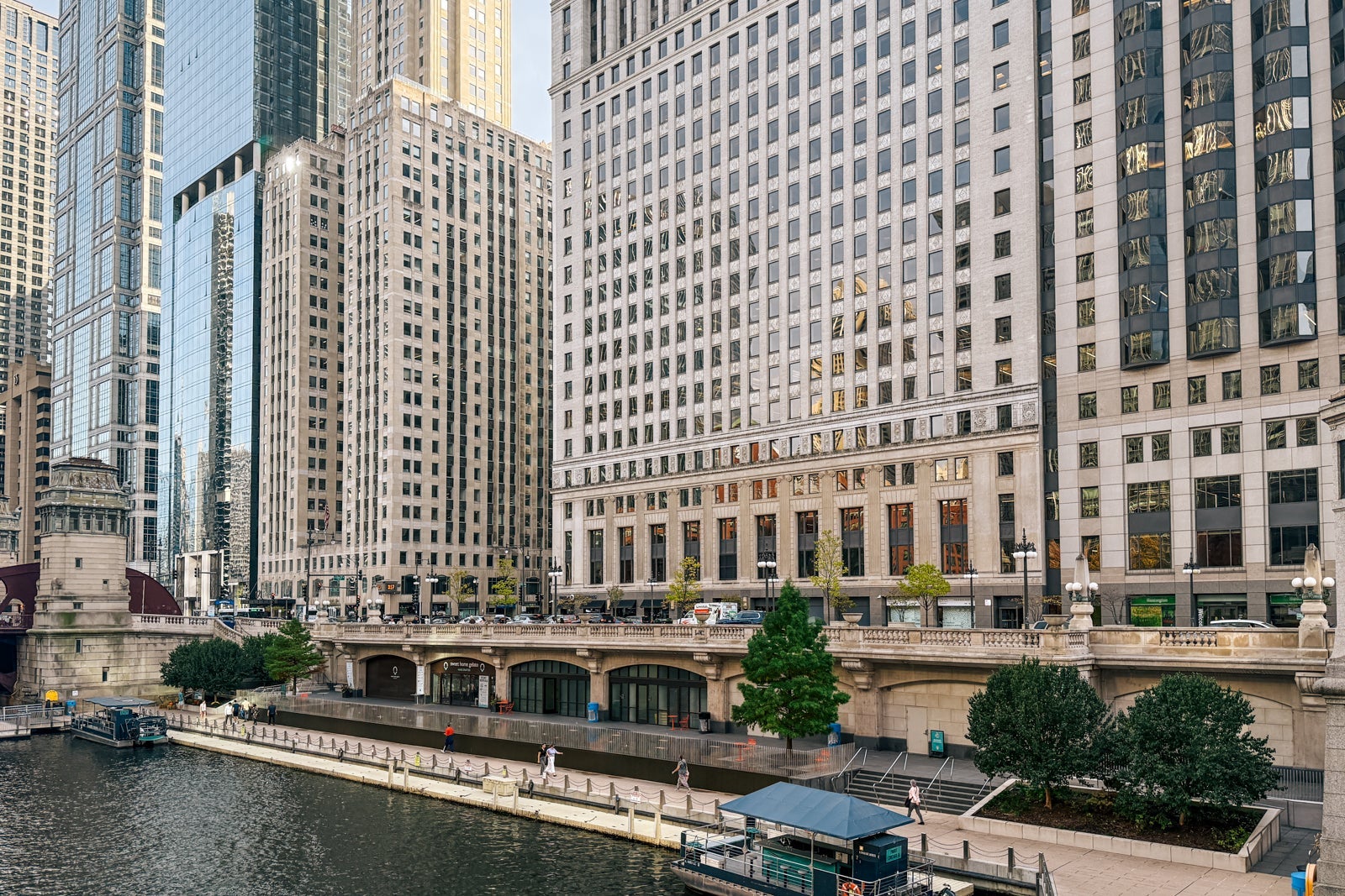 View of downtown Chicago from the river