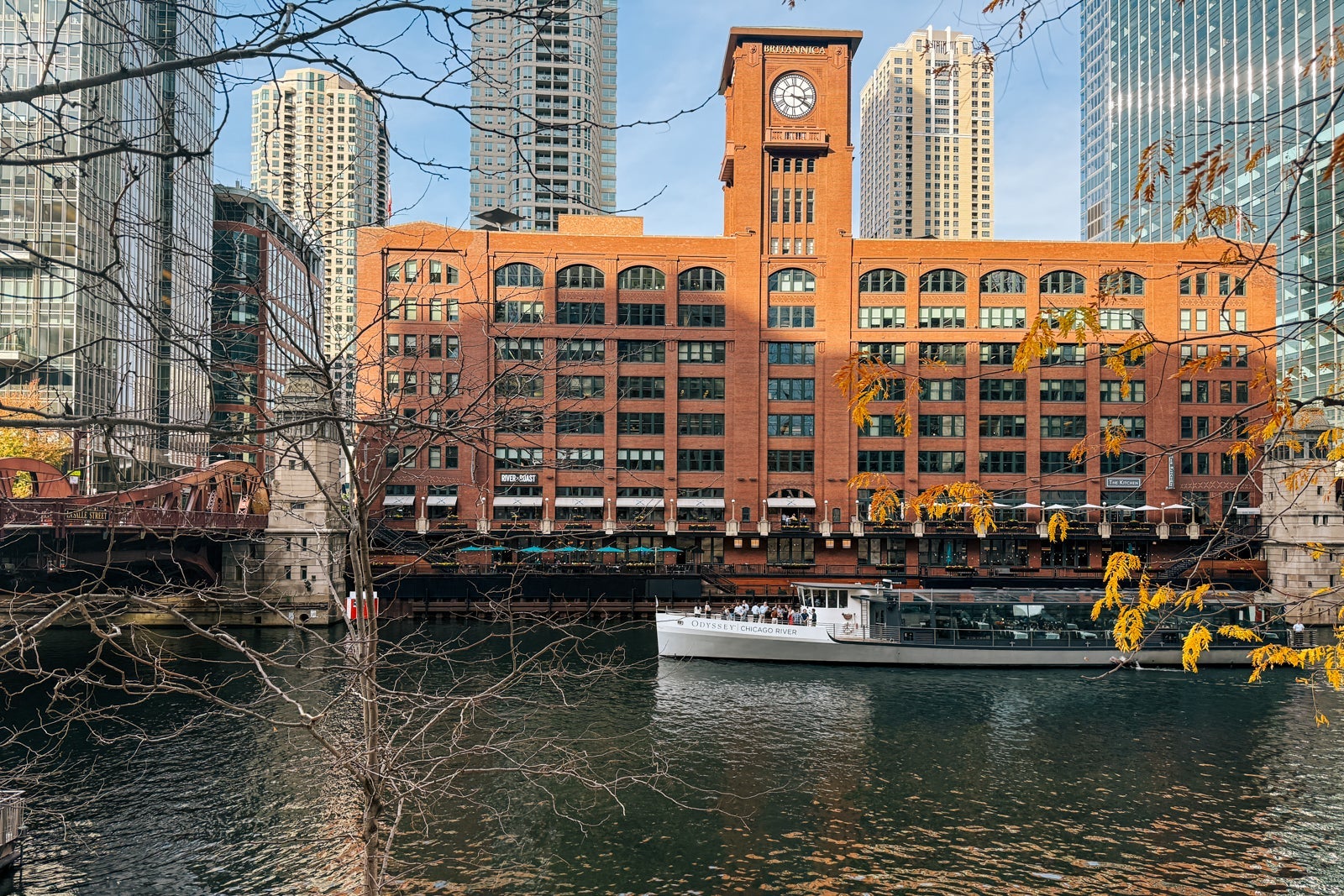 Chicago from the river