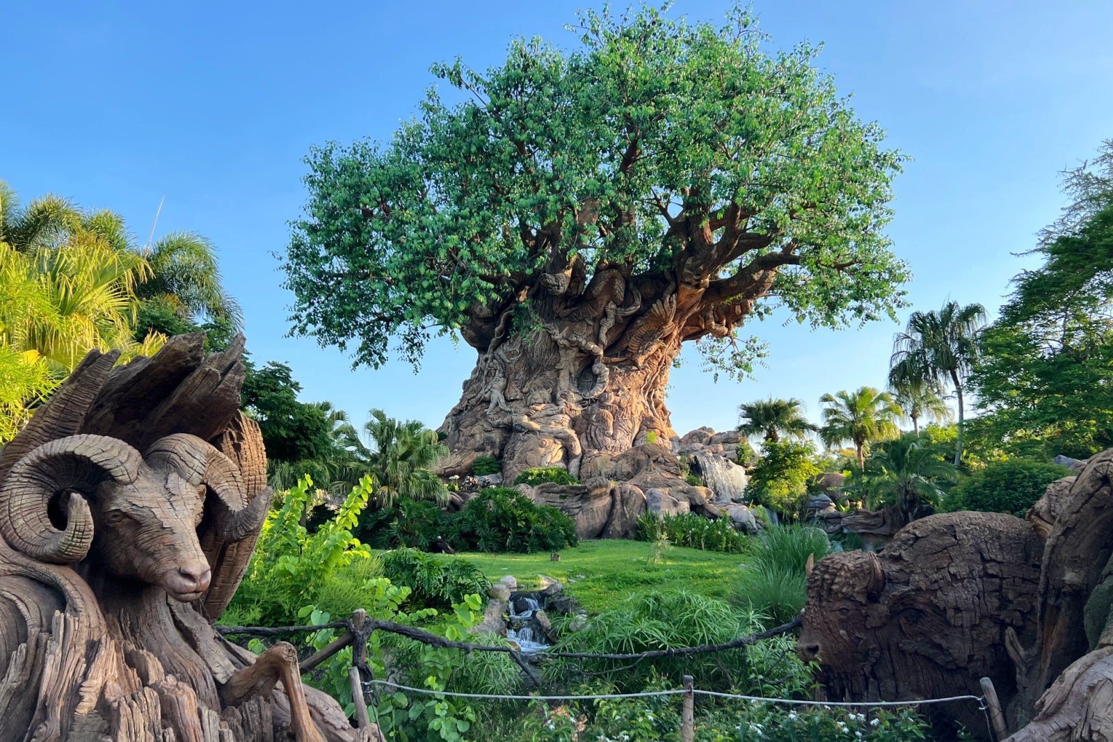 Disneys Animal Kingdom Tree of Life