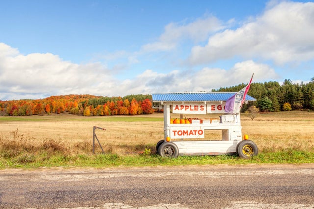 A roadside farm stand in front of fall foliage in Traverse City, Michigan.