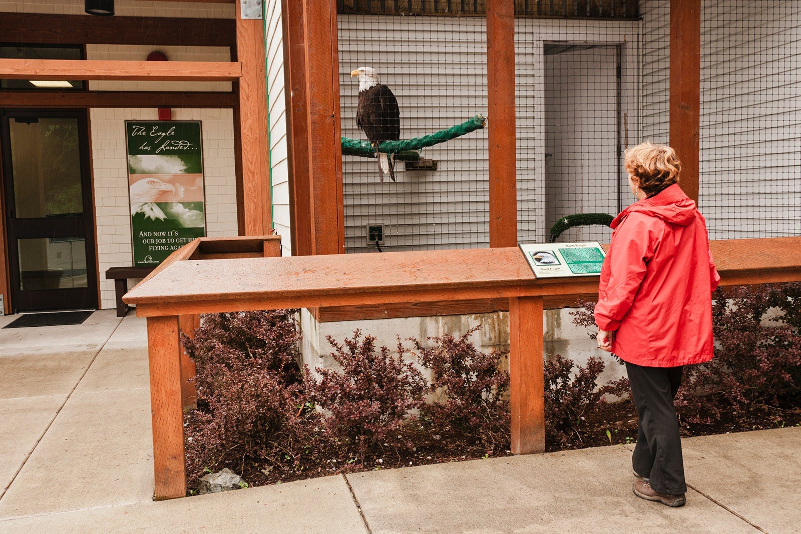 A visitor at the Alaska Raptor Rehabilitation Center in Sitka.