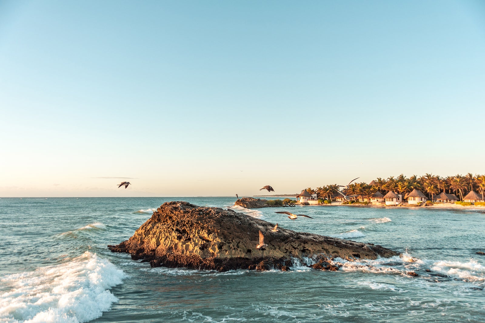 seagulls flying over the rocks, waves of the Caribbean sea crashing on rocks near Tulum beach